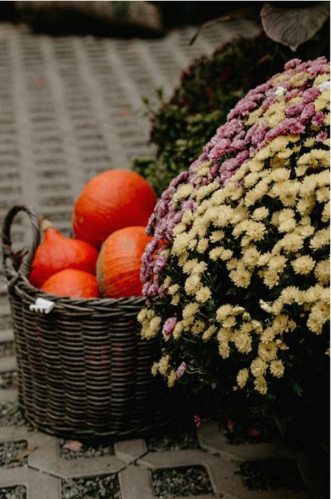 Moderner Centerpiece aus Trockenblumen
